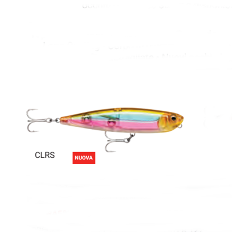 capture-20241122-154729