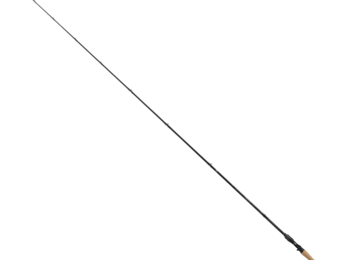 Daiwa 25 Tatula Casting