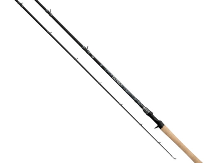 Daiwa 25 Tatula Casting